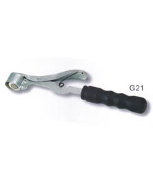 G21
